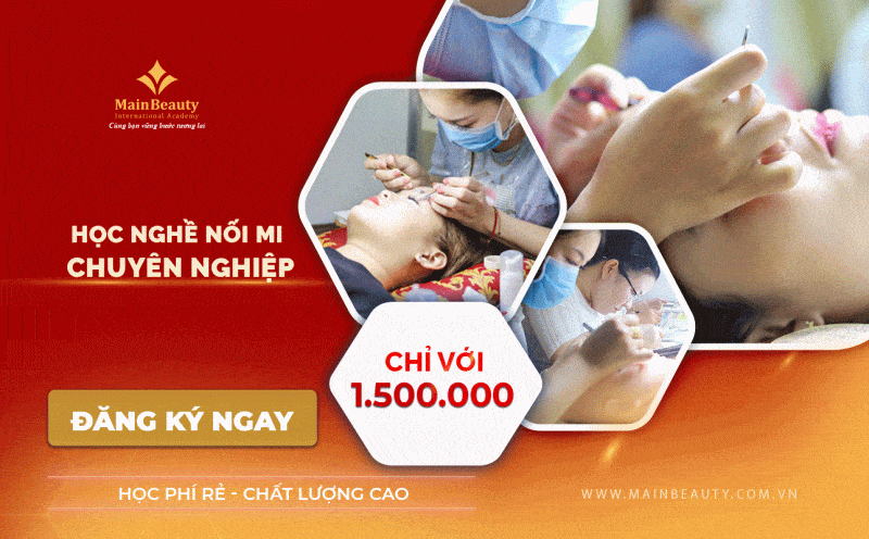MainBeauty là TRUNG TÂM ĐÀO TẠO NỐI MI HÀNG ĐẦU VIỆT NAM, luôn cập nhật các xu thế thời trang lông mi, các kỹ thuật nối mi mới nhất.