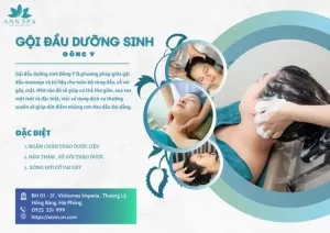 ANN Spa