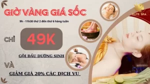 Gội đầu dưỡng sinh Elite