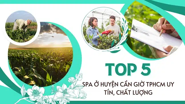 Top 5 Spa ở huyện Cần Giờ TPHCM uy tín, chất lượng.