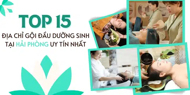 Top 15 địa chỉ gội đầu dưỡng sinh tại Hải Phòng uy tín nhất