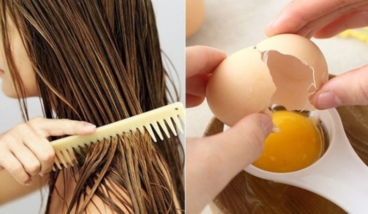 Công thức ủ tóc bằng trứng gà
