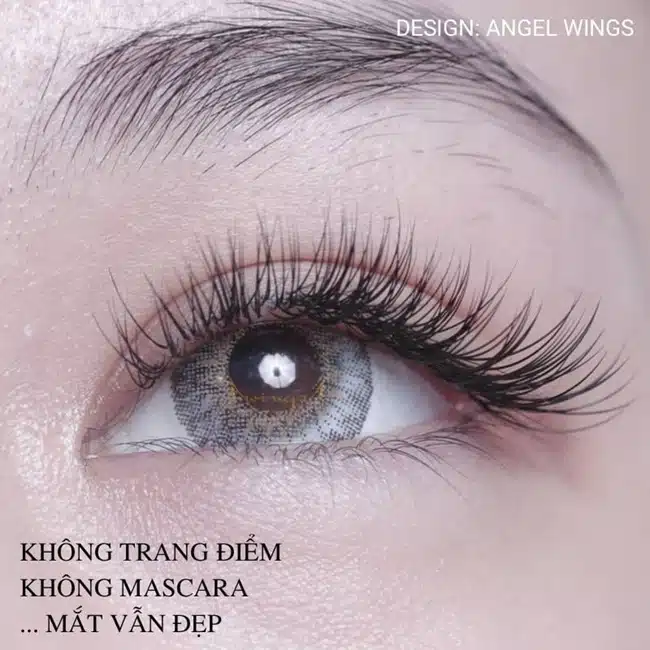 Wings Lashes luôn cập nhật kiến thức mới về phương án hay kỹ thuật uốn mi mới nhất để có thể phục vụ khách hàng.