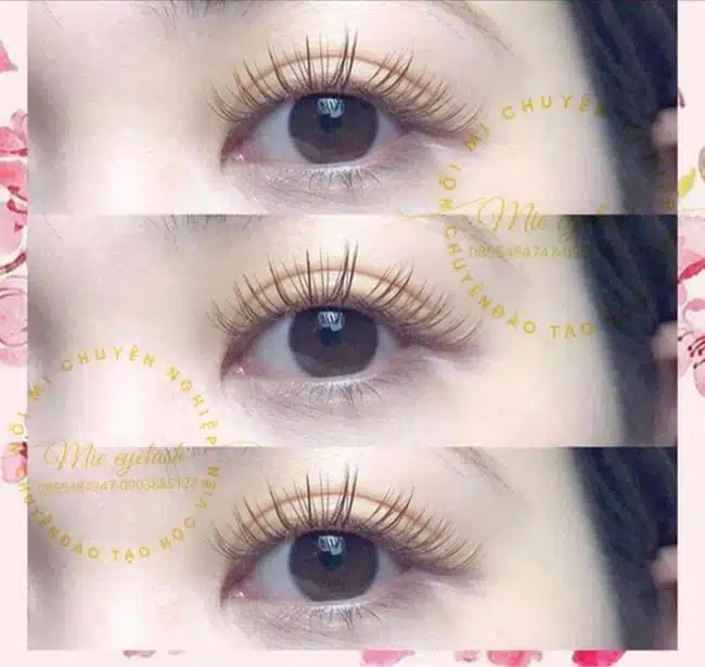 Mie Eyelash giúp bạn nhanh chóng thể hiện sự khác biệt và khả năng của mình, đồng thời tự tin đứng vững trong ngành Nail.