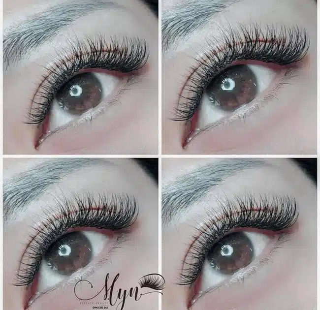 Myn Eyelash cung cấp chương trình đào tạo chất lượng do các chuyên viên giàu kinh nghiệm trong ngành mang lại.