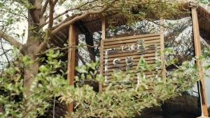 The Spa Bar