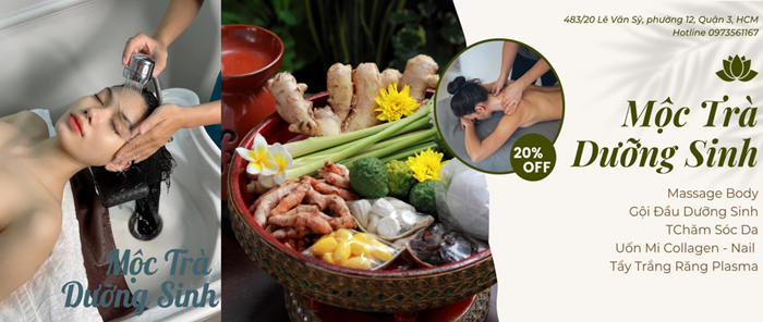Mộc Trà Dưỡng Sinh & Trị Liệu